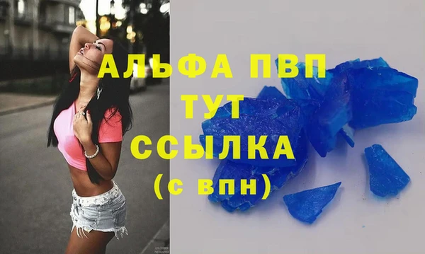 ПСИЛОЦИБИНОВЫЕ ГРИБЫ Михайлов