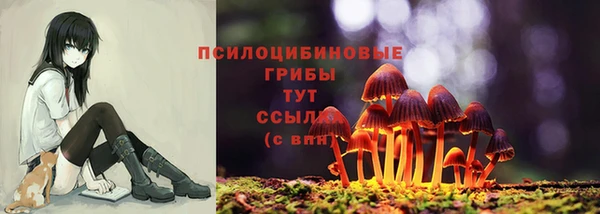 Альфа ПВП Балабаново