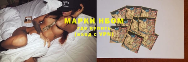 ПСИЛОЦИБИНОВЫЕ ГРИБЫ Михайлов