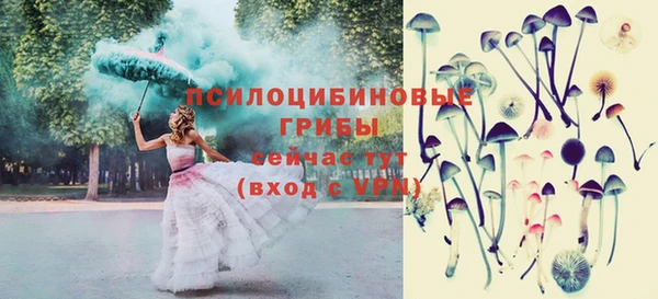 ПСИЛОЦИБИНОВЫЕ ГРИБЫ Михайлов
