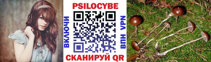 Галлюциногенные грибы Psilocybine cubensis  закладка  Куйбышев 