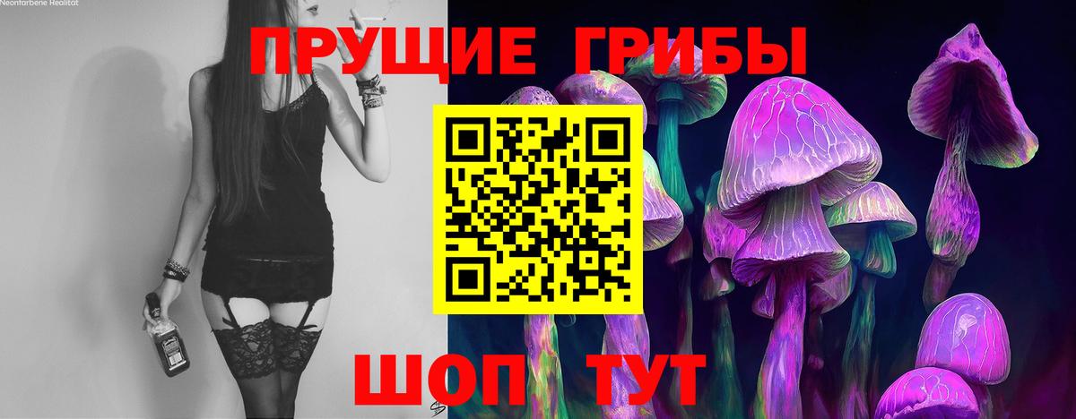 Галлюциногенные грибы Psilocybine cubensis  Вход с VPN  Куйбышев 
